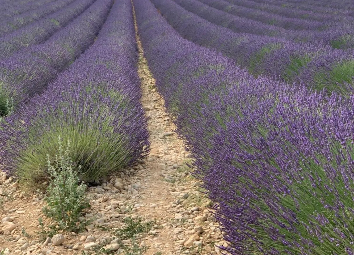 Lägenhetshotell Studios Nuitee En Provence Aix-en-Provence